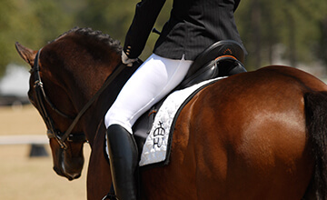 Accessoires équitation