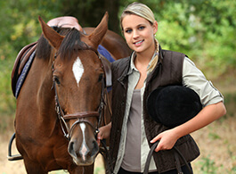 cheval luxueux